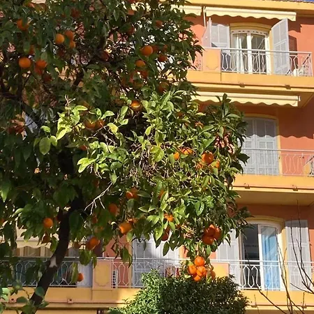 Proche Et Commerces דירה